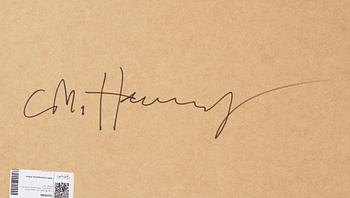 Carl Michael von Hausswolff, fotografi ur Red Series signerad a tergo.