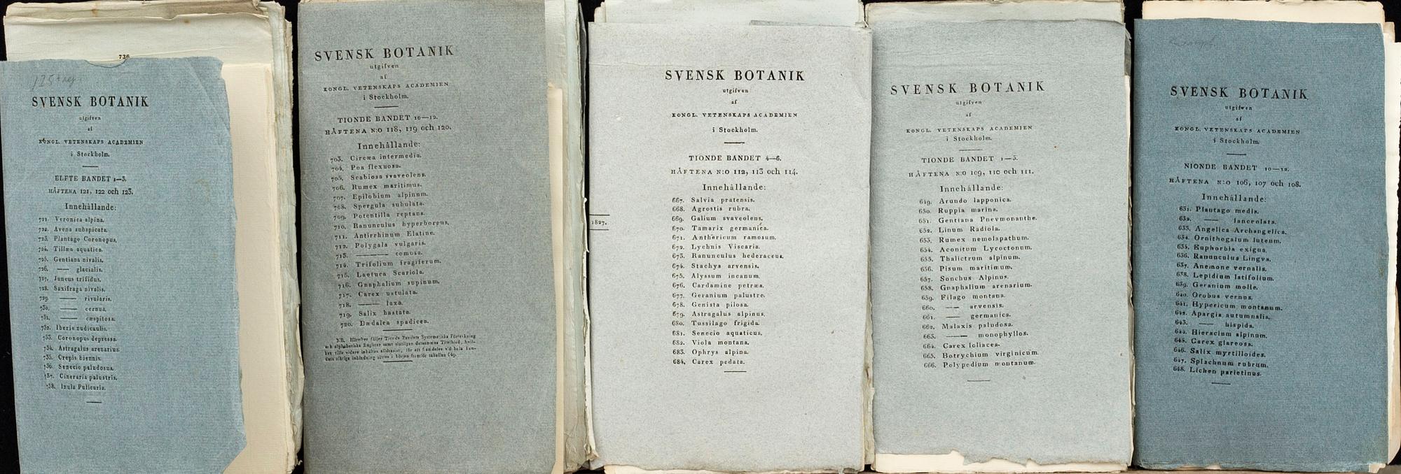 JOHAN PALMSTRUCH,  "Svensk Botanik" 5 häften med 72 st koppargravyrer, ca 1823-1830.