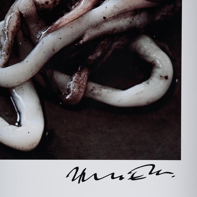 Bruno Ehrs, "From the series: Diptychs & Triptychs".