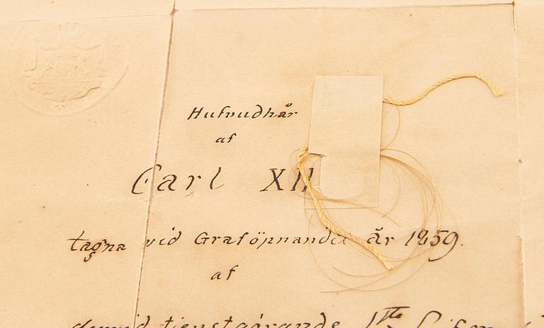 King Charles XII's lock of hair.