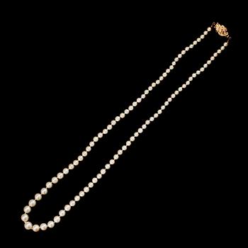 PÄRLCOLLIER, doserade odlade pärlor, lås av förgyllt silver.