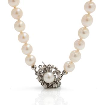 Necklace of cultured pearls, clasp of 18K white gold with diamonds.