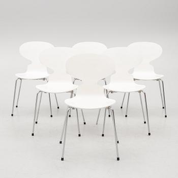 Arne Jacobsen, chairs, 6 pcs, "The Ant", Fritz Hansen, Denmark, 2004.