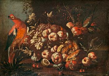 Giovanni Paolo Castelli ("Spadino") Hans art, Stilleben med papegoja och frukter.