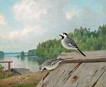 173. Ferdinand von Wright, SMALL BIRDS ON THE ROOF.