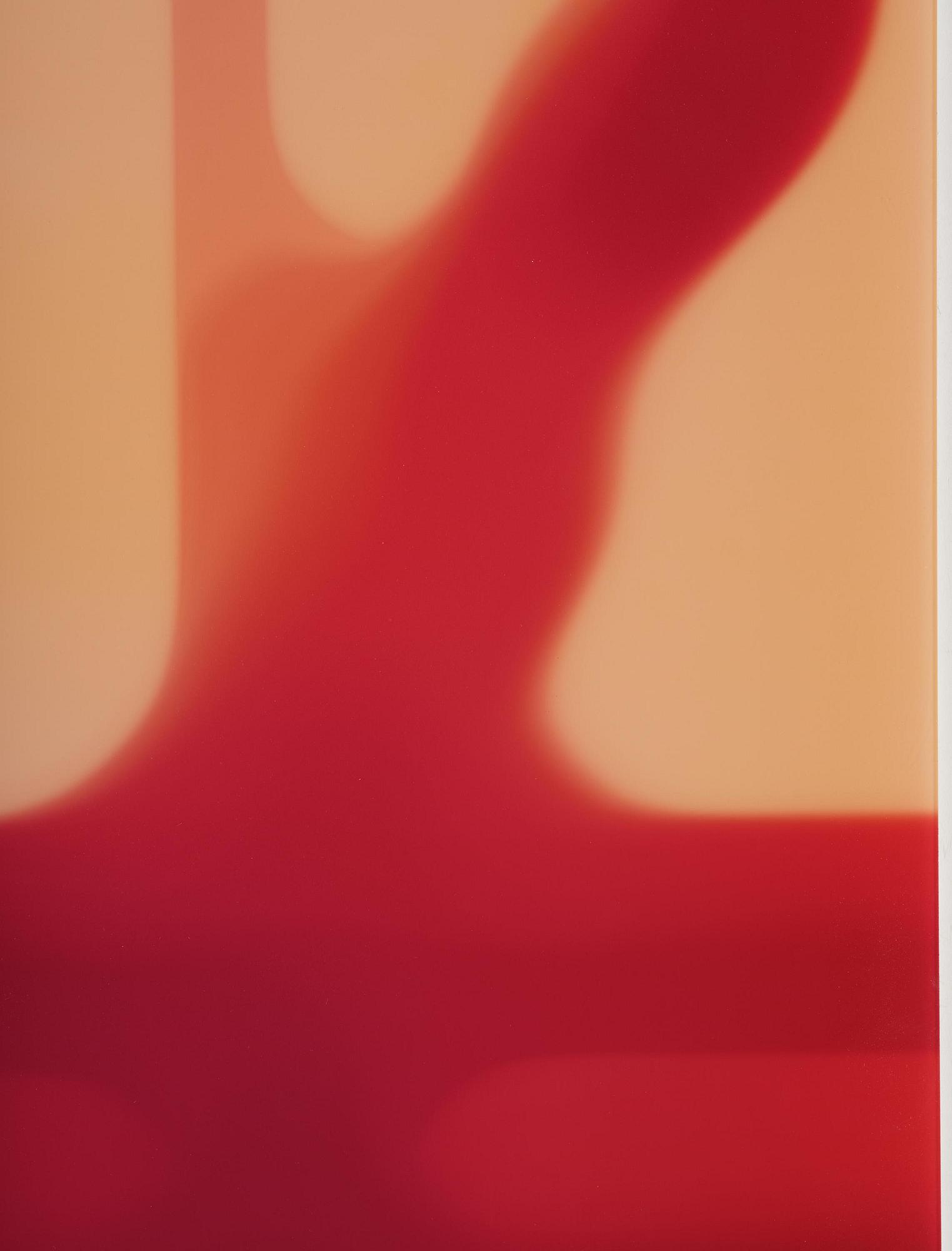 Uta Barth, "Untitled (06.11)".2006.
