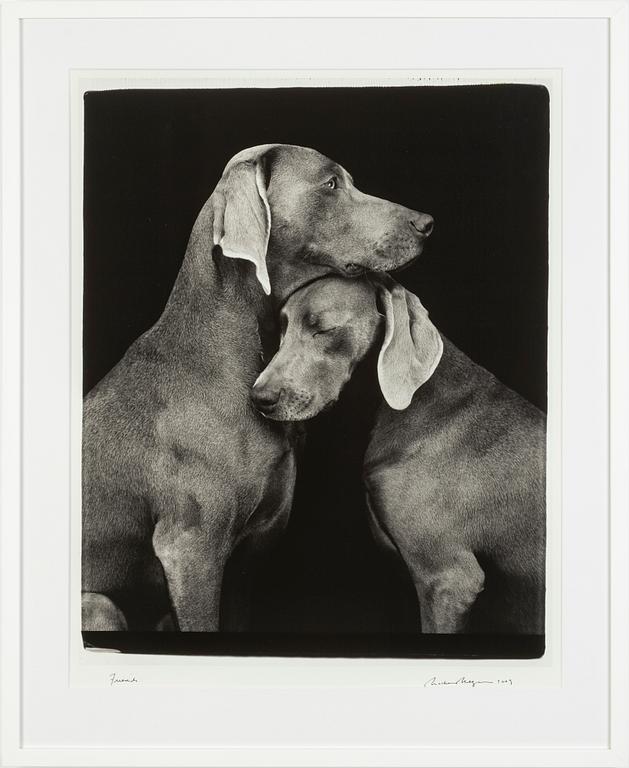 William Wegman, "Friends".