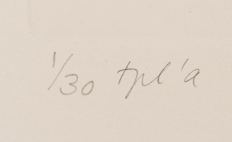 Inari Krohn, Utan titel.