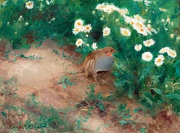 Bruno Liljefors, "Rapphöna med prästkragar" / "Partridge with Daisies".