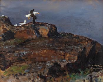 Lindorm Liljefors, Gulls on a cliff.