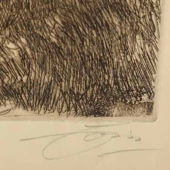 ANDERS ZORN, etching, 1913, signed.