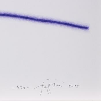 Tino Stefanoni, "494".