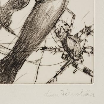 Linn Fernström, "Trumslagaren".