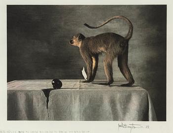 Jan Bengtsson, gum print, signed and dated 84.