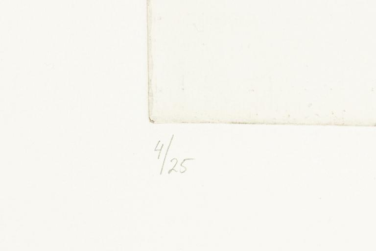 Linn Fernström, "Barn med glapp, noshörningsglapp".