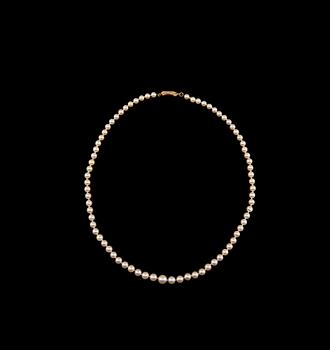 A NECKLACE, cultivated seawater pearls 5 - 8,5 mm. Clasp 18K gold. Length 54 cm.