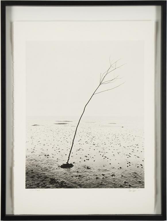 Håkan Ludwigson, photograph signed and numbered 2/25.