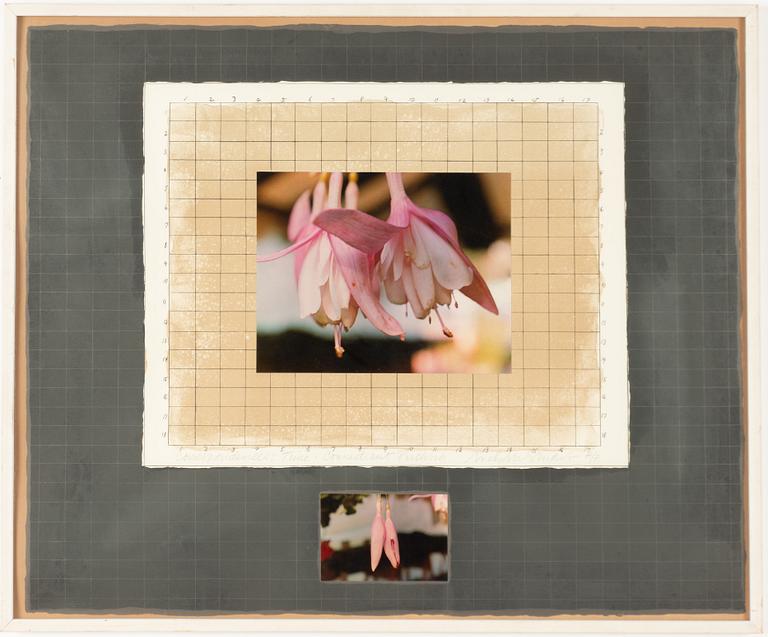 Michelle Stuart, "Correspondences: Time, Connecticut Fuchsia".