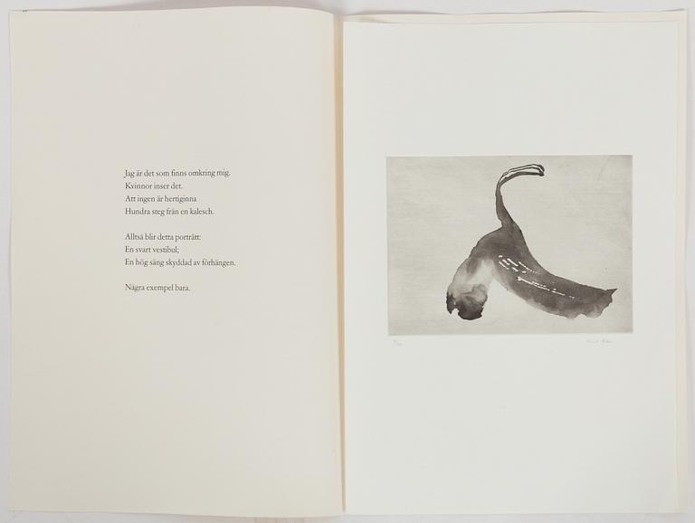 Curt Asker/Wallace Stevens "Elva dikter".