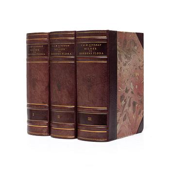 Books, 3 volumes. C.A.M. Lindman, *Bilder ur Nordens Flora*, 1922 and 1926 respectively.