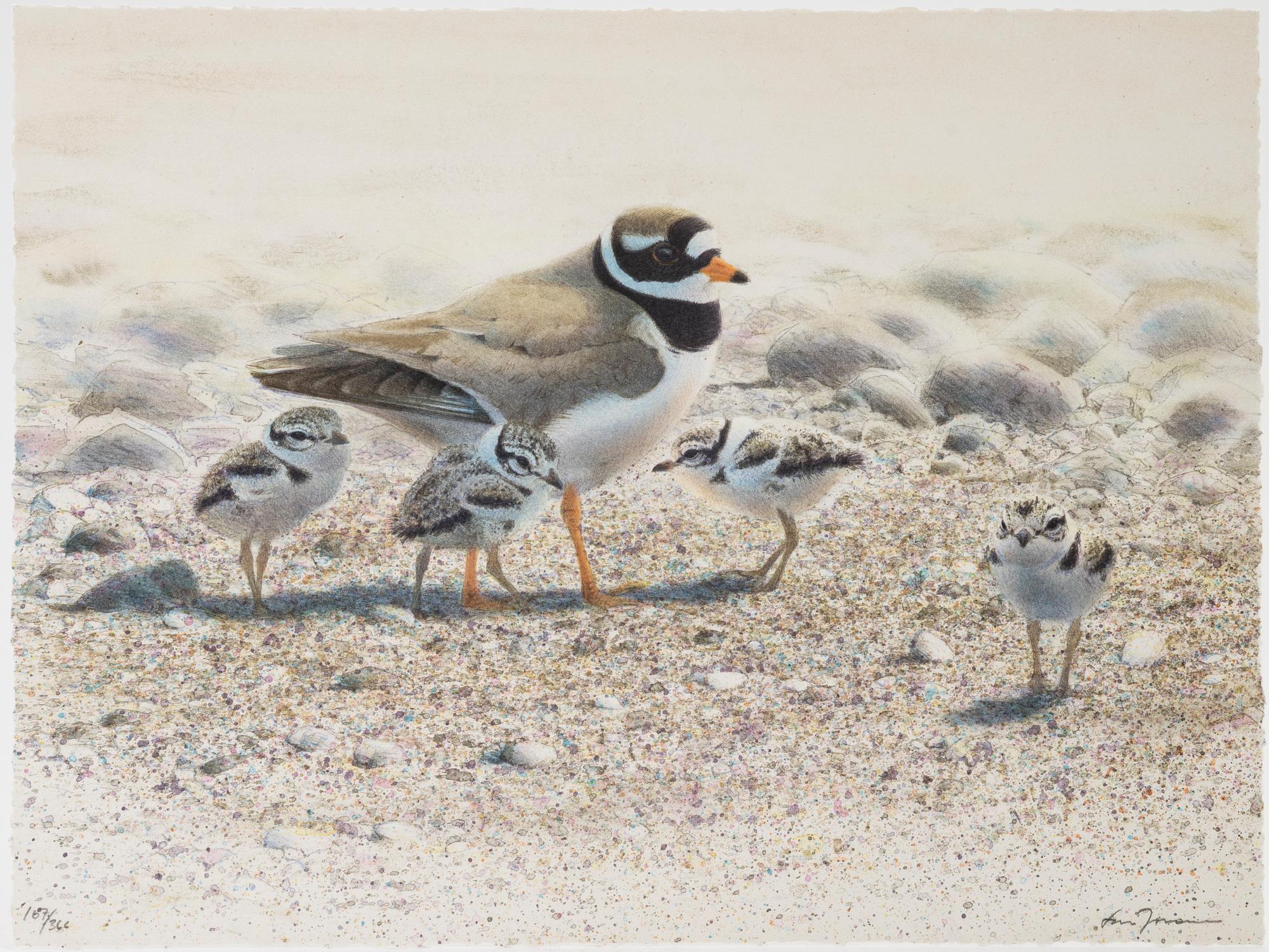 Lars Jonsson, portfölj "Dagrar", 2000,  med 12 färglitografier, signerade 167/366.