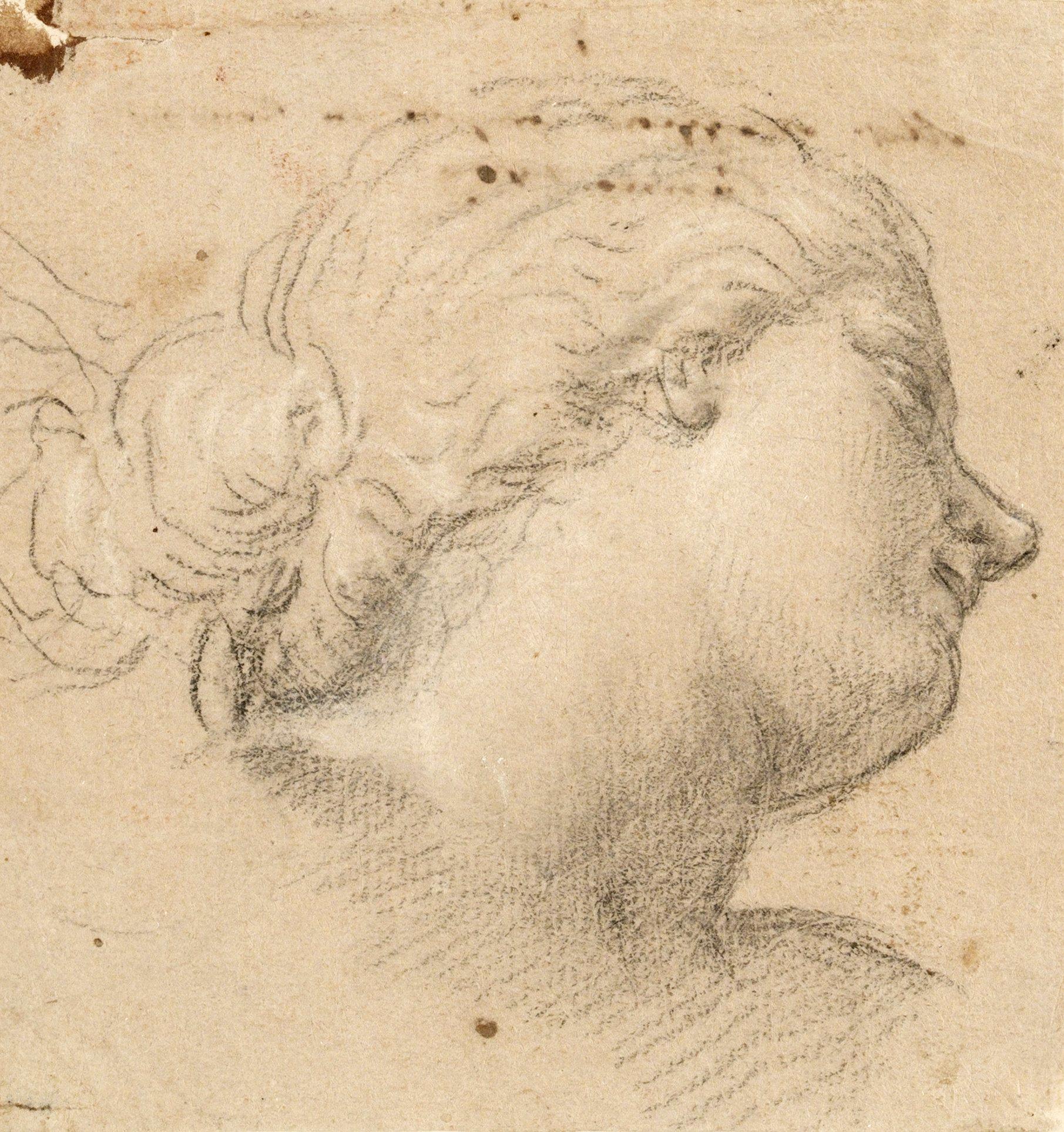 Annibale Carracci Hans efterföljd, Studie av kvinnohuvud.