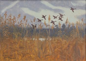 Harald Wiberg, Stretching ducks.