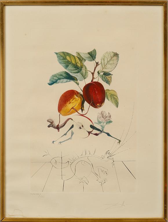 SALVADOR DALÍ,