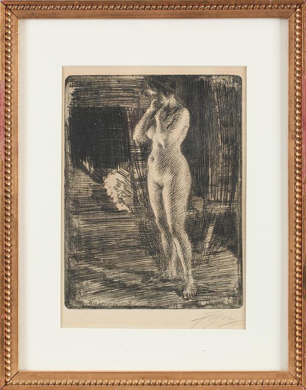 Anders Zorn, "Första séancen".