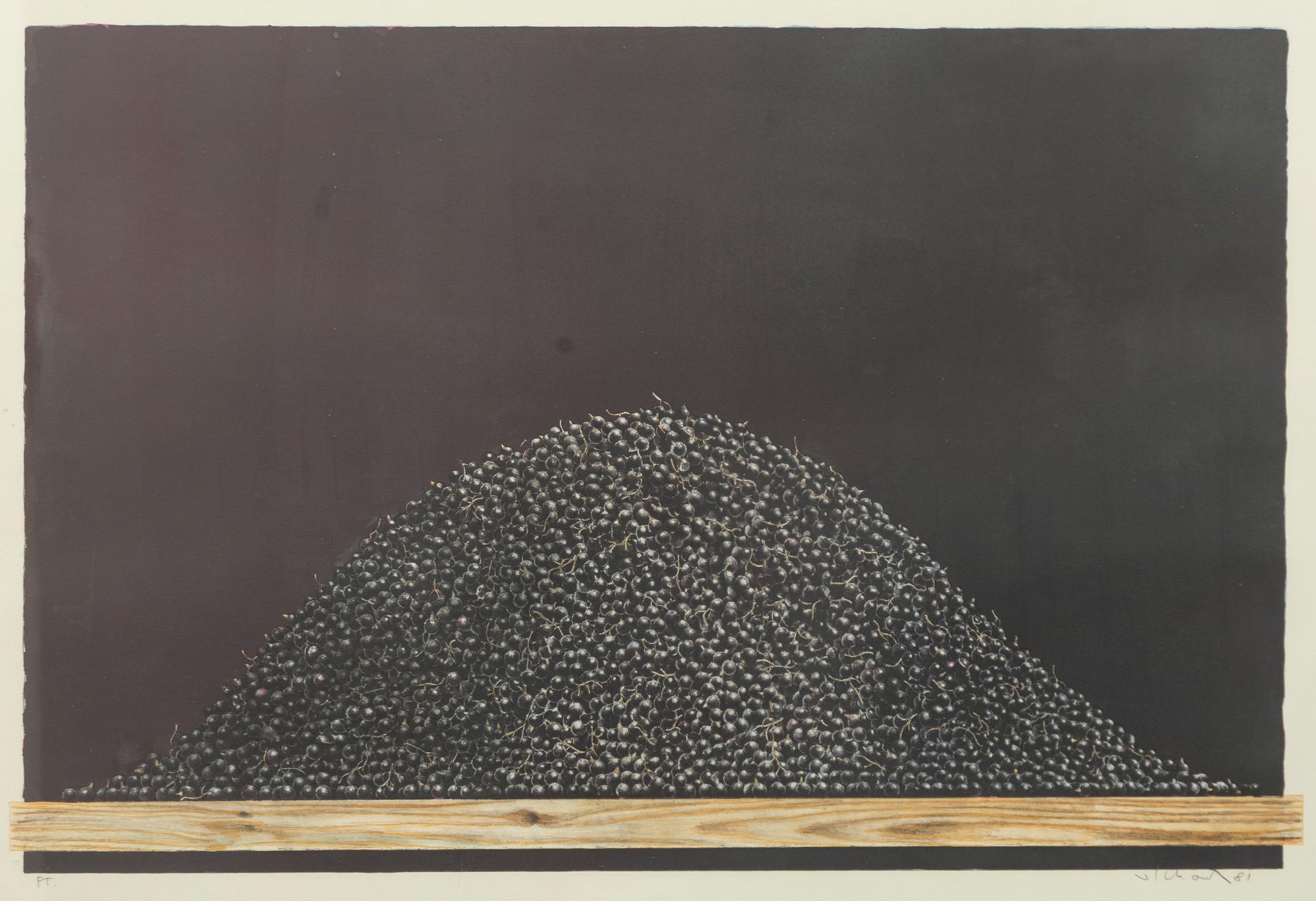 Philip von Schantz, "Svart".