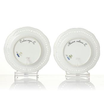 A set of 12 Royal Copenhagen 'Flora Danica' lunch plates, Denmark, 1889-1922.