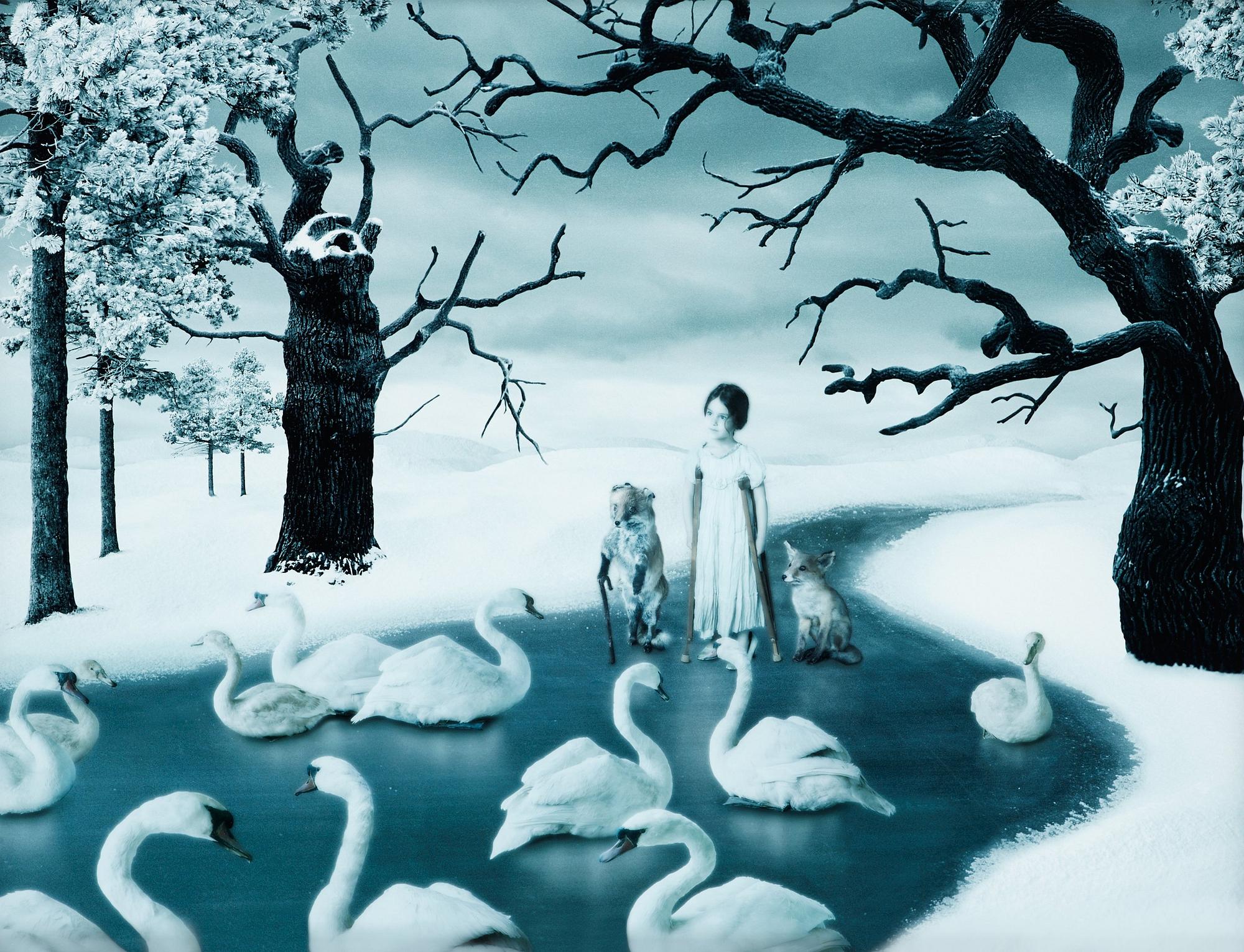 Helena Blomqvist, "Among Swans", 2011.