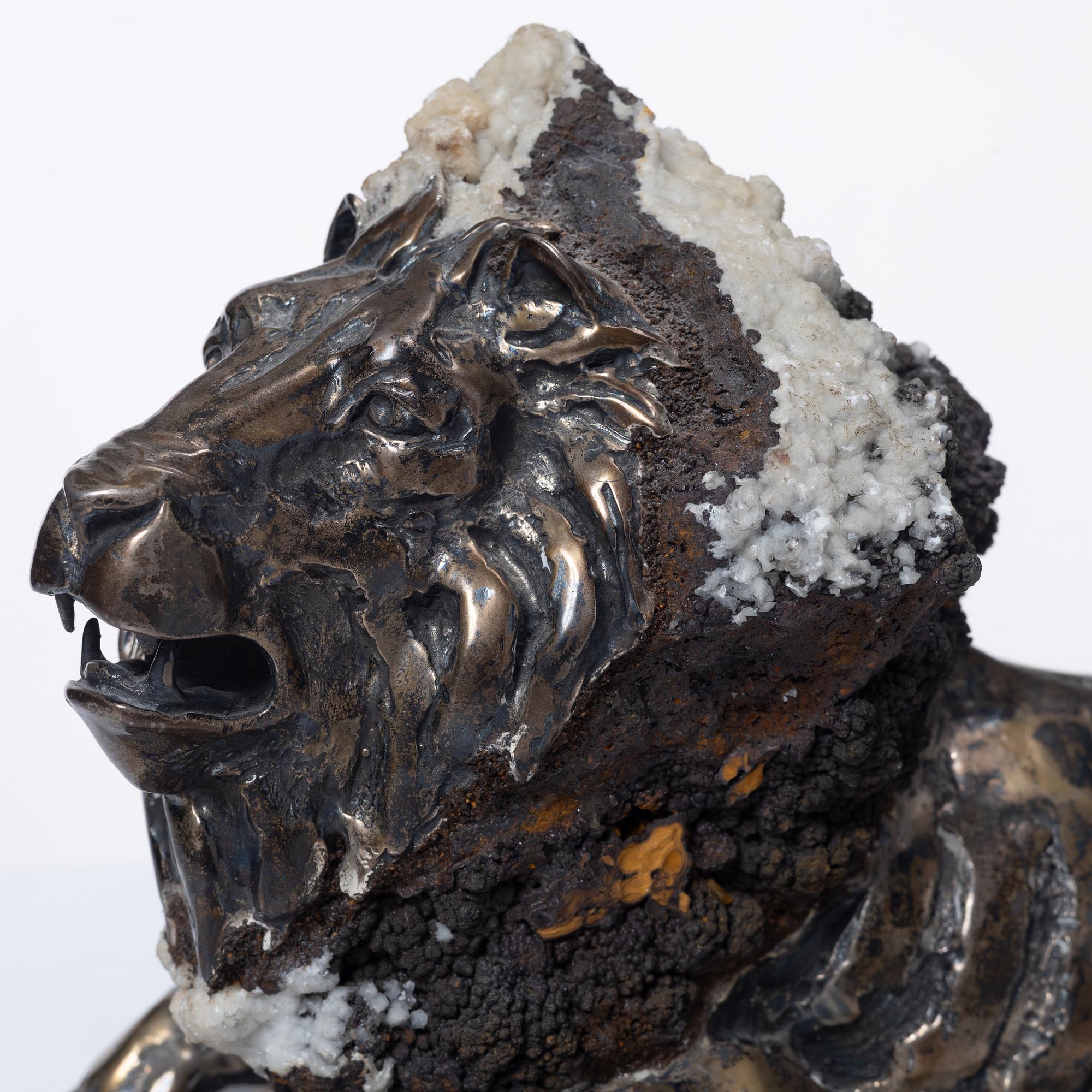 Amador Braojos, "Leo".