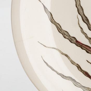 Eleven creamware plates and dish, 'Fish', Johnson Brothers, England.