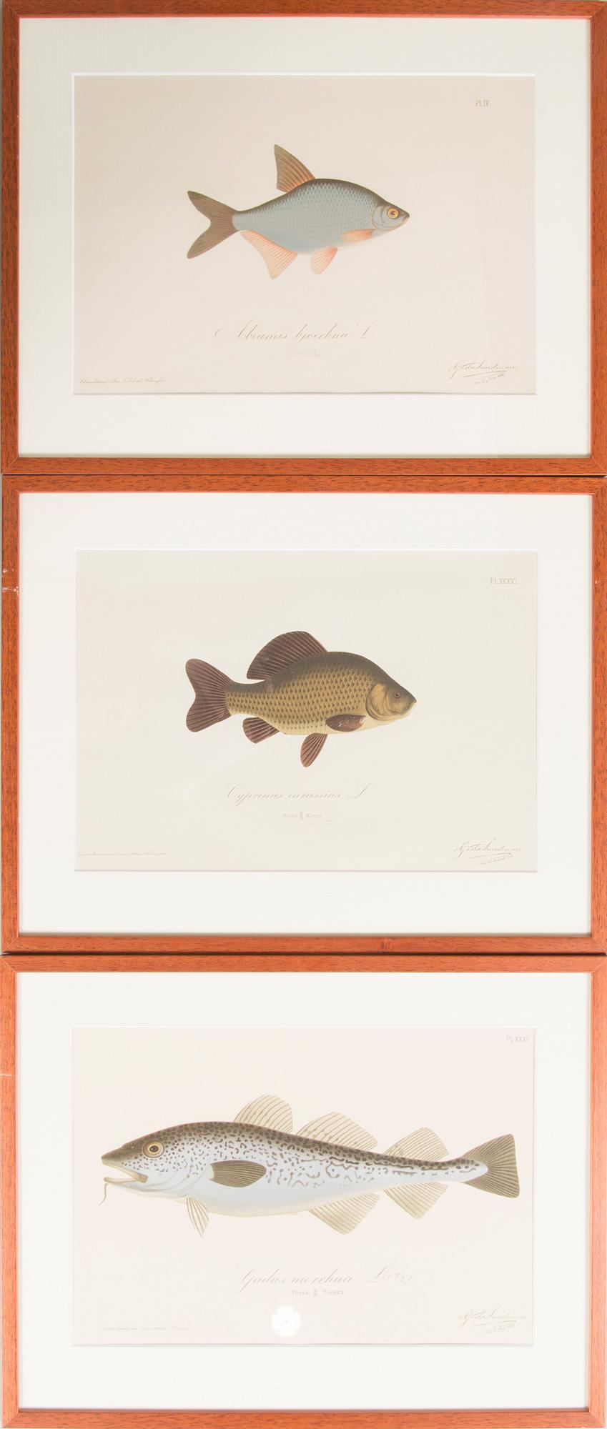 Gösta Sundman, Kromolitografiat, 3 kpl.