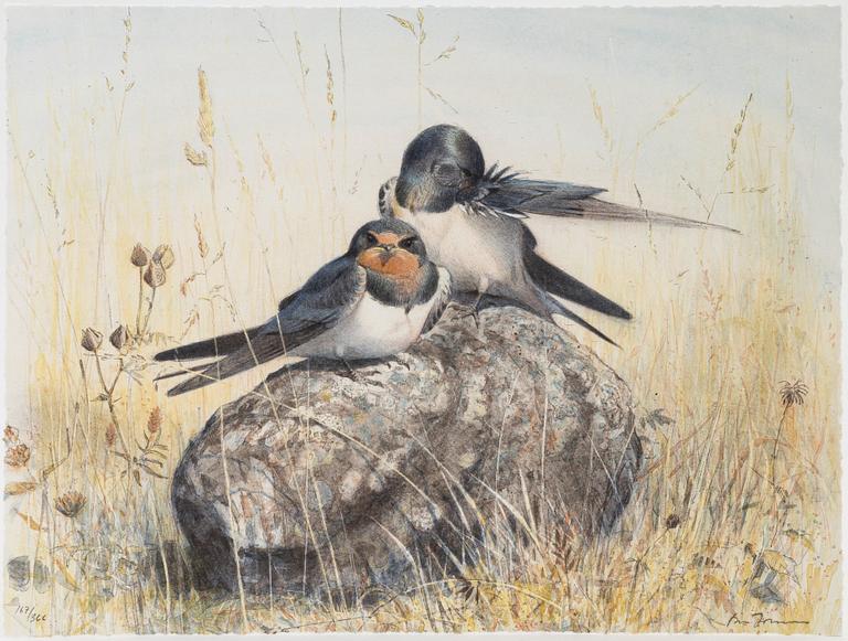 Lars Jonsson, portfölj "Dagrar", 2000,  med 12 färglitografier, signerade 167/366.