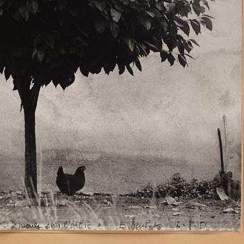 Edouard Boubat, "La Poule et L’Arbre, France", 1950.