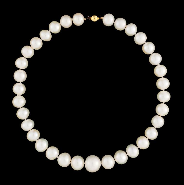 A South Sea cultured pearl necklace.