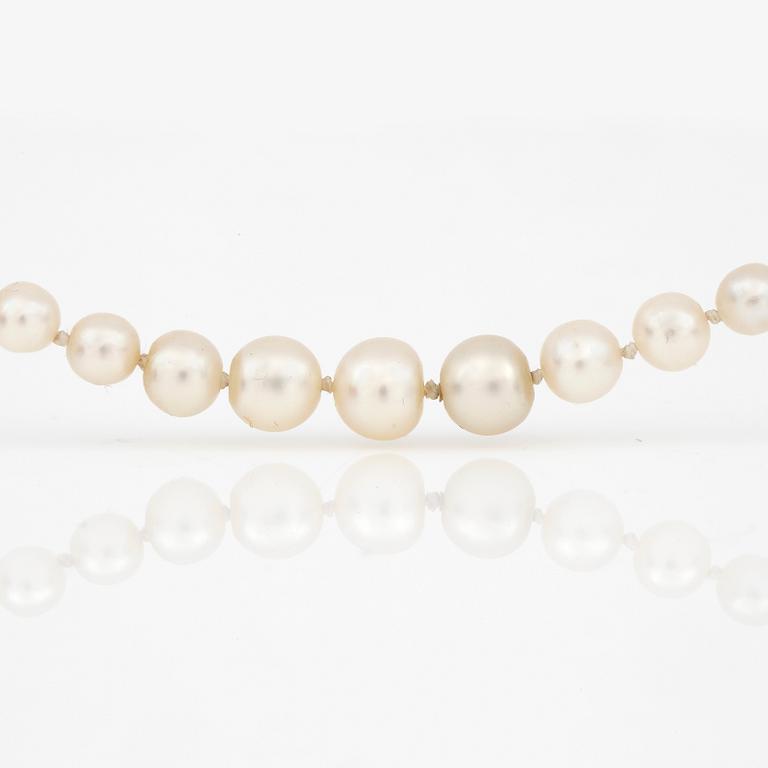 COLLIER, med odlade pärlor, lås i 14K guld med rosenslipade diamanter.