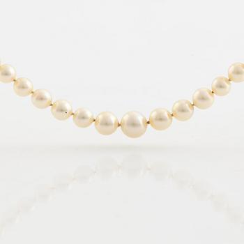 Calibrated cultured pearl necklace.