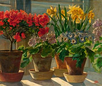352. Olga Alexandrovna (Storfurstinnan), FLOWERS BY THE WINDOW.