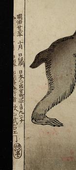 TSUKIOKA YOSHITOSHI, träsnitt, "Moon of Kintoki´s mountain". (Kintokiyama no tsuki).