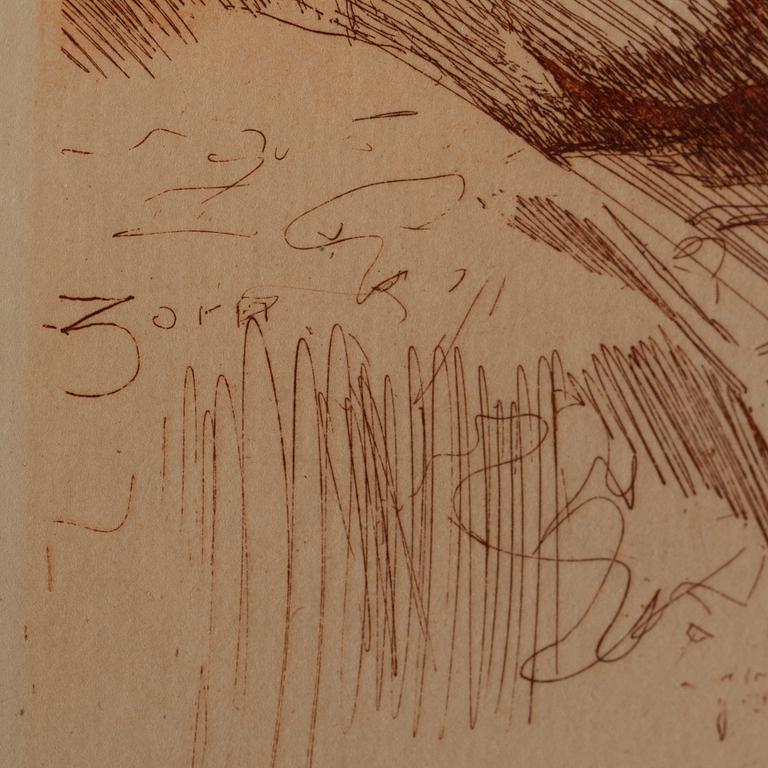 ANDERS, ZORN, Etsning. "Modellstudie". Utförd 1884.