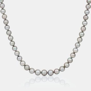 592. A cultured Tahiti pearl necklace consisting of 37 graduated pearls Ø 11-13.5 mm.