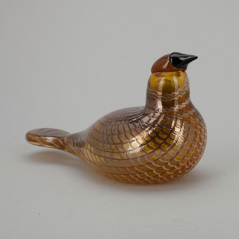 FÅGEL, glas, signerad O. Toikka, Nuutajärvi.