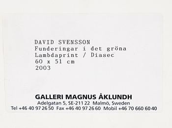 David Svensson, "Funderingar i det gröna", 2003.