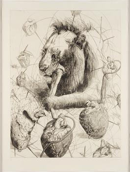 Linn Fernström, "Hjärtbitare".