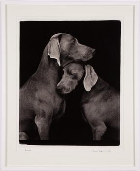 William Wegman, "Friends".