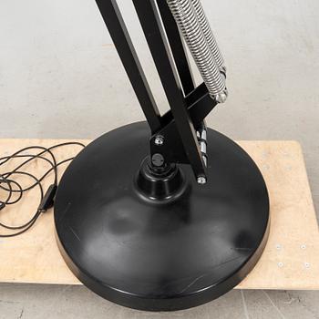 Golvlampa "The Great 1" av Luxo samtida.
