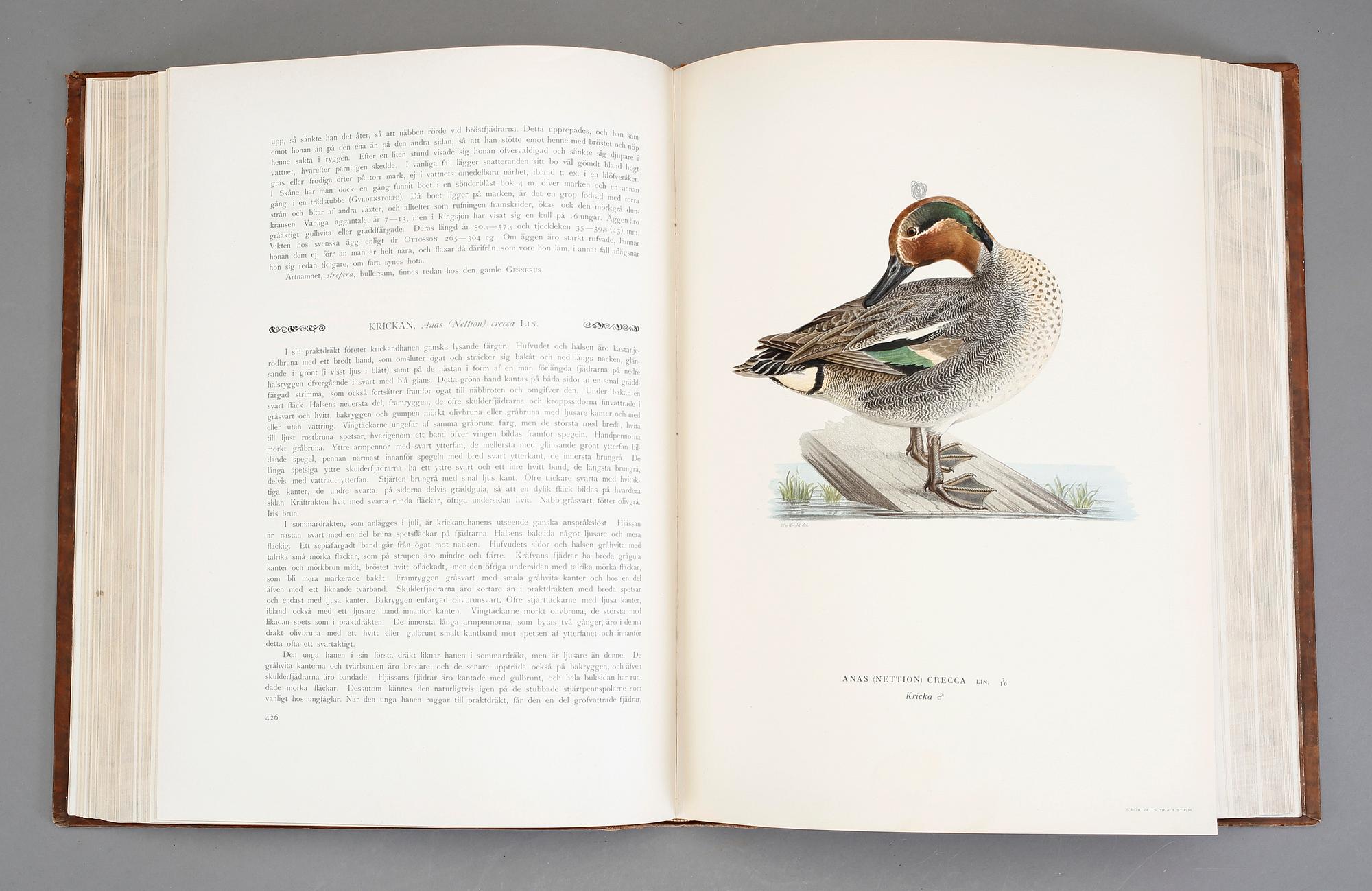 BÖCKER, I-III, "Svenska Fåglar", M,W & F von Wright, Stockholm, 1927-29.